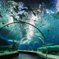 Manila Ocean Park
